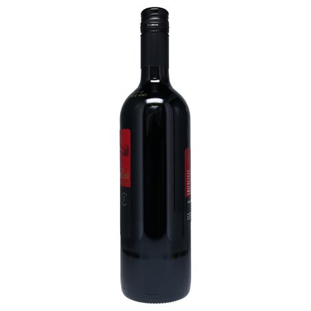 Vinho Nacional Sangue De Boi Seco 750ml 360-1