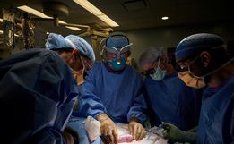 Cirurgiões dos EUA fazem 1º transplante de rim de porco para humano