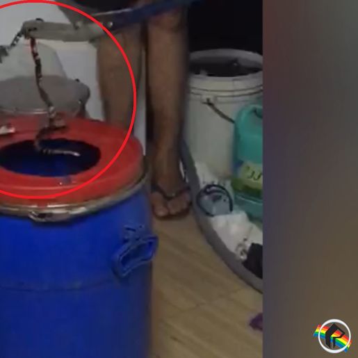 VÍDEO: Serpente mais venenosa do Brasil é capturada em SMOeste