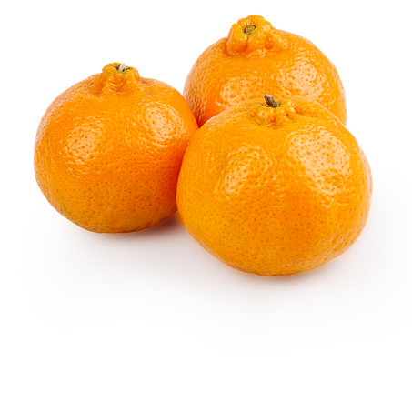 Bergamota