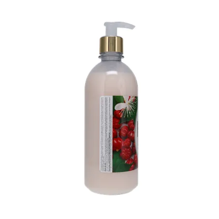 Sabonete Líquido H2OH! Pitanga Frasco 500ml 360-26