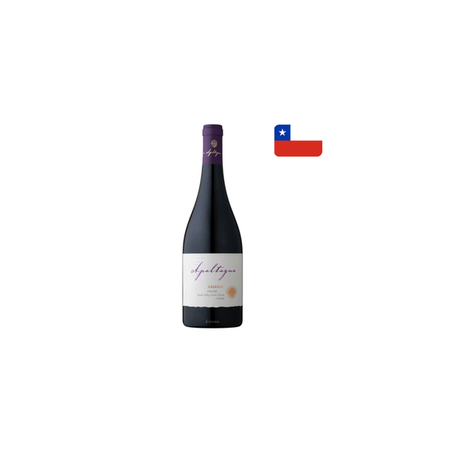 Vinho chileno apaltagua gran 750ml syrah