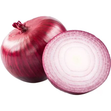 Horti cebola roxa