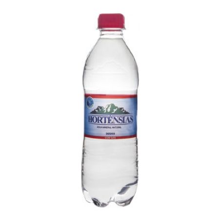 AGUA MIN C/GAS HORTENSIAS 500ML