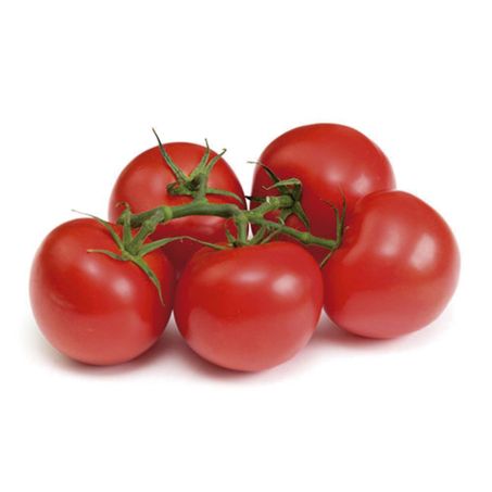 TOMATE HOLANDES  KG