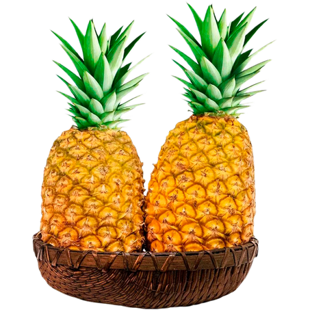Abacaxi Hawai Un 