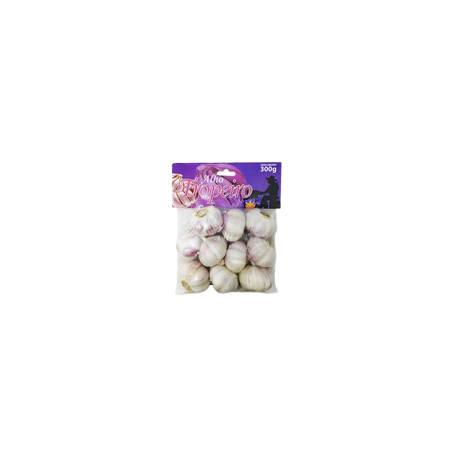 Cebola temperbom picada 400g