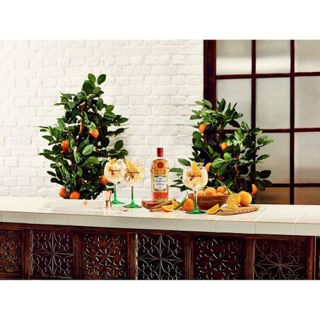 GIN TANQUERAY FLOR DE SEVILLA 700ML 360-1