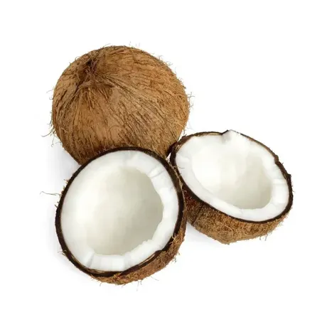 COCO SECO