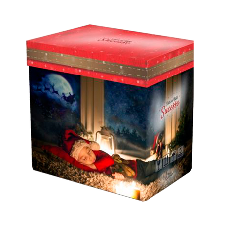 Cesta Natal Fibra Sucesso 360-1