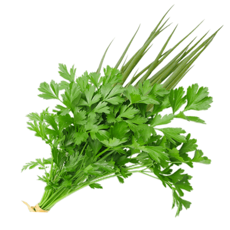 Flv-tempero frigo verde un