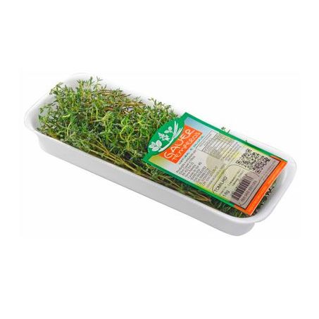 Tempero gauer 16g tomilho