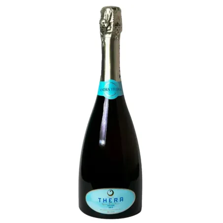 Espumante anima charmat brut thera 750ml