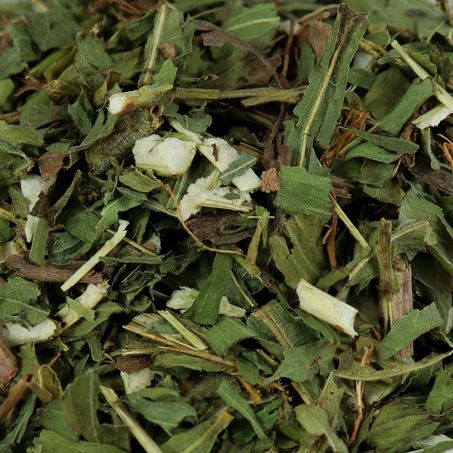 ARNICA KG