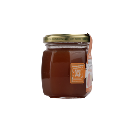 GELEIA TRADICIONAL DE PESSEGO 250G BOM PRINCIPIO 360-47