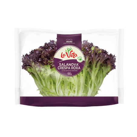 Feira Salada Nova Mini Crespa Roxa La Vita