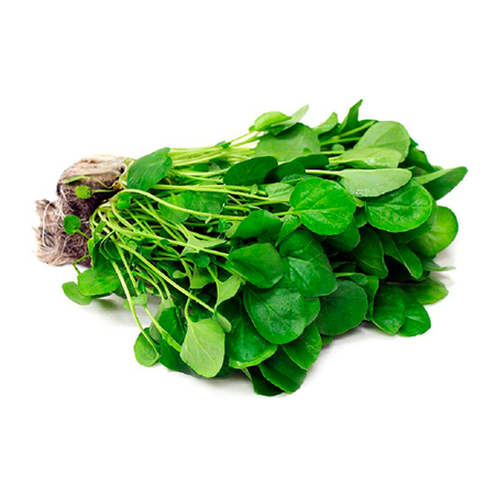 Nt-agriao verde/roxo molho unidade