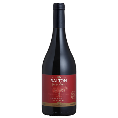 Vinho paradoxo pinot noir salton 750ml