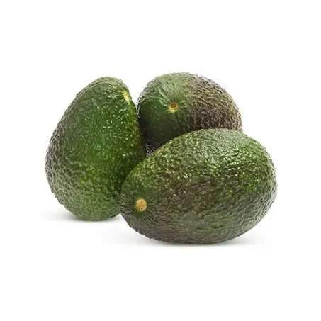 Avocado Kg 