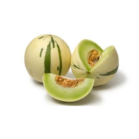 FRUTI MELÃO DINO