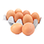 0aa6ebdd-_categoria__5360011d6fb71.png
