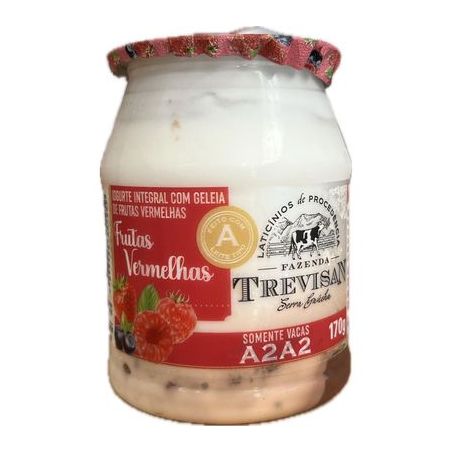 Leite trevisan integral frutas verm 170g