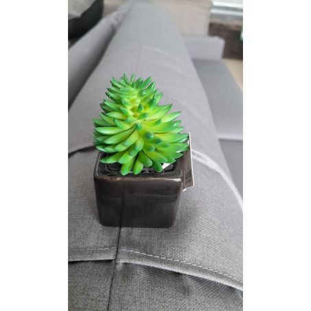 FLOR ARTE SUCULENTA SORT.C/VASO VERDE 8CM         