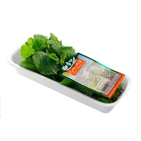 Hortelã Fresca 20g