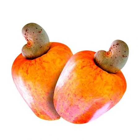 Cajú Kg