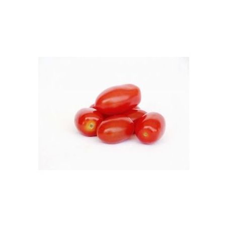 Horti tomate rasteiro kg