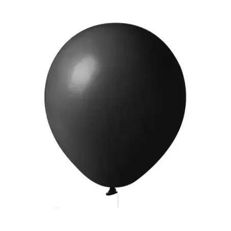 BALAO PARANA BIG T.15 C/1 PRETO