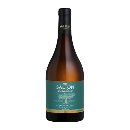 Vinho Branco Brasileiro Salton Paradoxo Chardonnay 750ml 