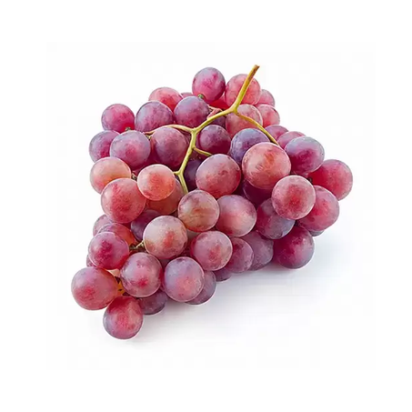 UVA ROSA KG