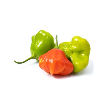 PIMENTA CAMBUCI KG
