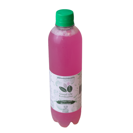 KOMBUCHA PITAYA COM MORANGO 500ML GOOD LIFE KOMBUCHA