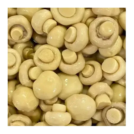 CHAMPIGNON MEDIO/GRAUDO KG