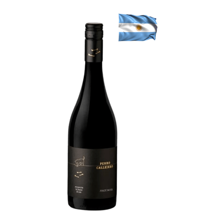 VINHO PERRO CALLEJERO PINOT NOIR 750ML ARGENTINA