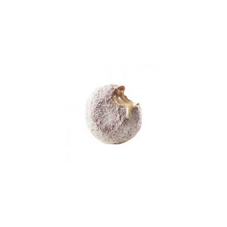 DONUT BAVARIAN UN