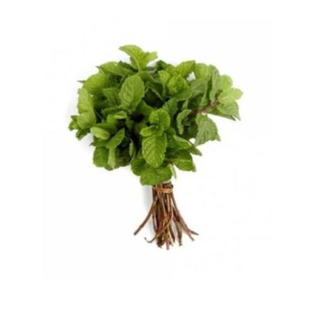 PLANTA BONANI HORTELA UN
