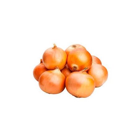 CEBOLA KG