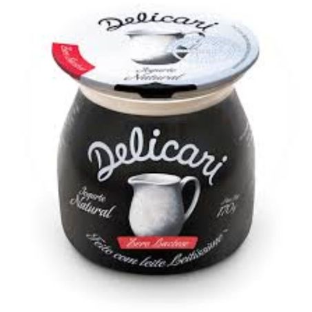 IORGUTE .NATURAL ZERO LACTOSE DELICARI 170G