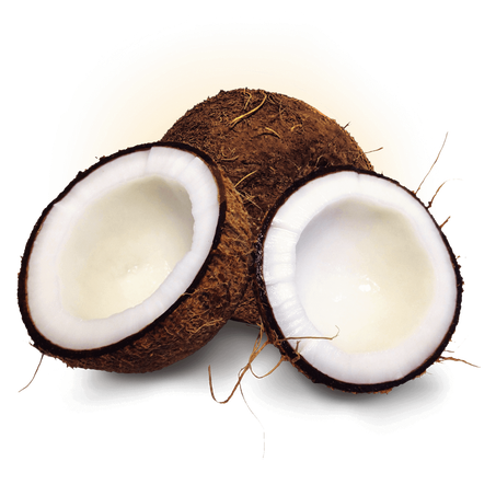 COCO SECO KG