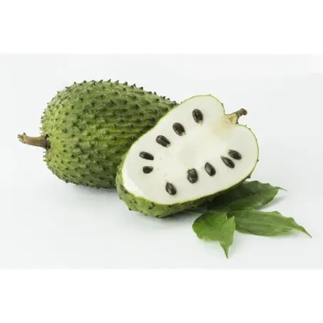 GRAVIOLA