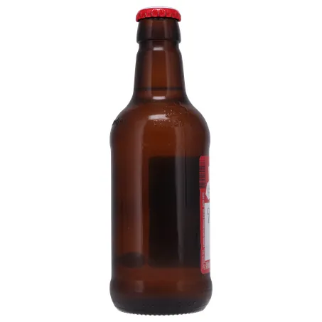 Cerveja budweiser retornavel 300ml 360-24