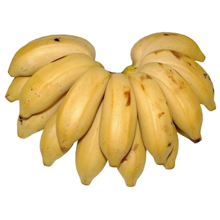 BANANA MAÇA KG