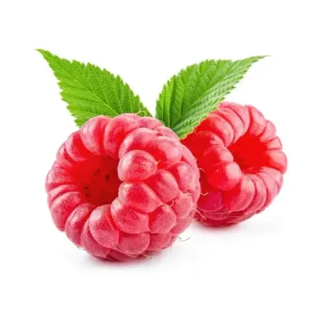 Feira Framboesa Pomar Araldi Tropical 100g