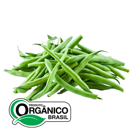Vagem Extrato da Natureza Orgânica 300g
