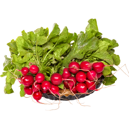 Rabanete 290g Horta