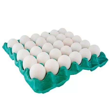Ovos brancos bandeja c/30un scopel