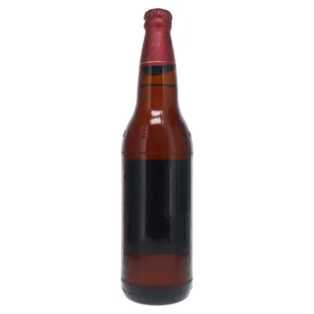 Cerveja Brahma Duplo Malte Garrafa 600ml 360-15